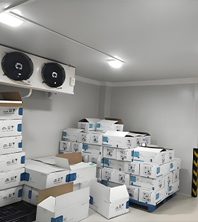Cold Storage