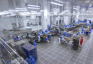Cold Storage High Speed Door Frozen Food Processing Plants